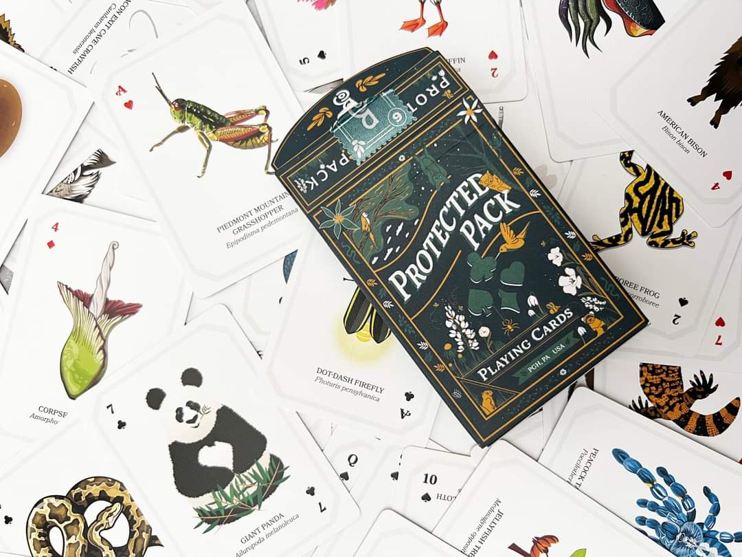 Protected Pack Playing Cards