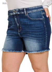 Lake Frayed Jean Shorts 1X - 3XL